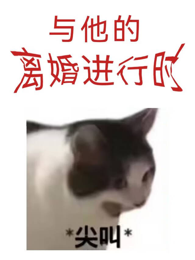 和他的距离