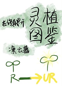 在修真世界开店的小说