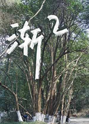 渐渐造句