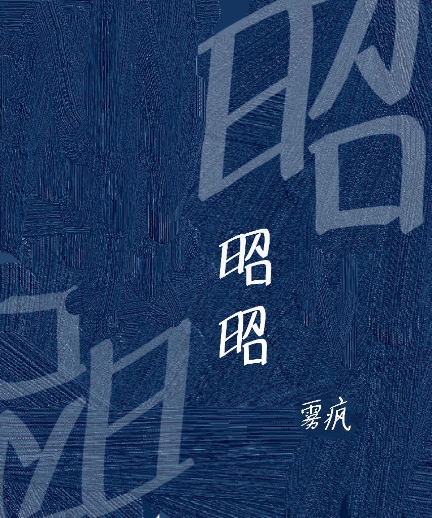阿昭萧澈免费阅读
