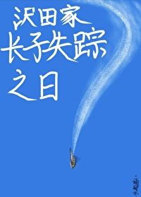 沢田家长子失踪之日晋江
