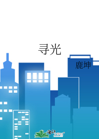 寻光